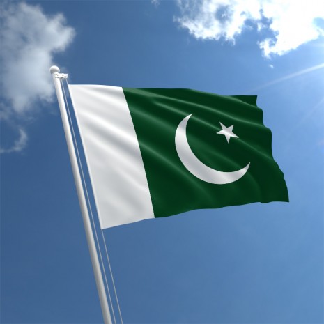 Image result for pakistan big flag