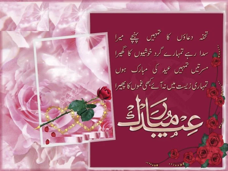 beautiful eid cards wishes 2013