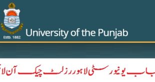 Punjab University B.A/B.Sc/B.Com Results 2023 Check Online