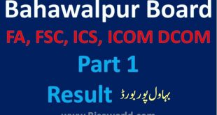Online Bahawalpur 11th Class Result 2023