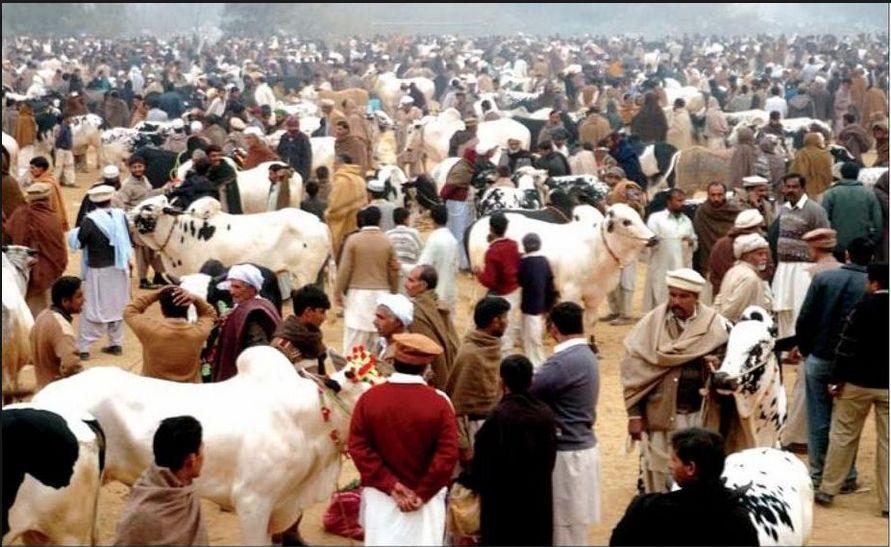 When is Eid ul Adha in Pakistan 2022 Peshawar Saudia Arabia