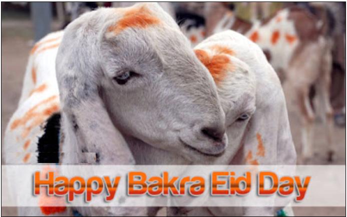 online bakra eid wallpapers