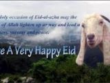 Bakra Eid Mubarak Shiary Love Funny Cards Wallpapers 2023