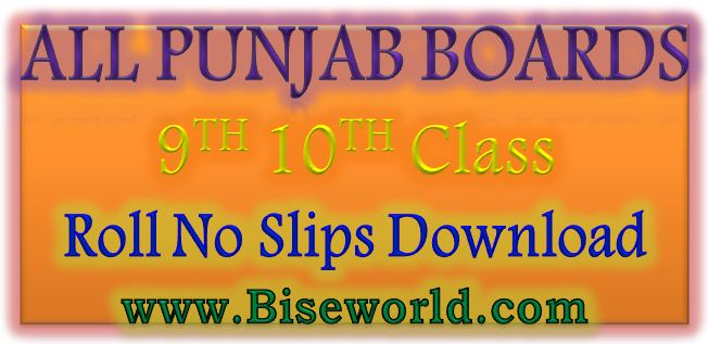 9 10 Class Roll Number Slip 2017 All Punjab Boards
