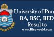Punjab University Lahore PU BA BSC Result 2023 Online