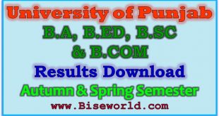 Punjab University BA, B.ED, B.SC, B.COM Result 2023