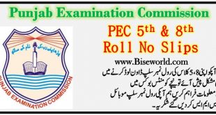 PEC 5th | 8th Class Roll Number Slips 2023 All Punjab Boards