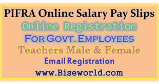Govt Employees Salary Slip Free Download