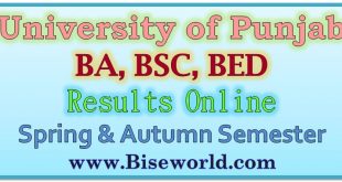 PU - Punjab University B.A Annual Exams Result 2023