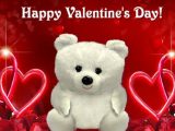HD Teddy Bear Wishing Images Pictures