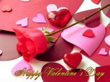 Red Rose Valentine Day 2022 Images Pictures