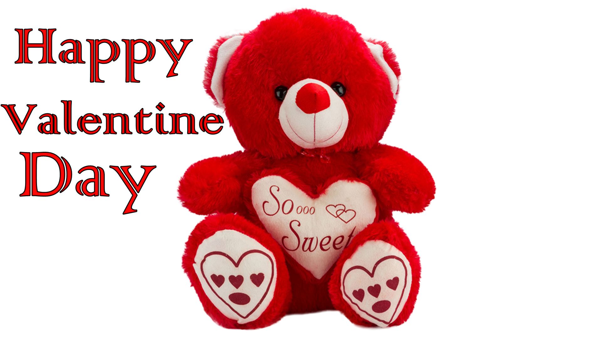 Teddy Bear Fiancee Wishing Valentine 2016 Images