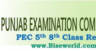 PEC 5th 8th Class Result 2023 All Punjab Boards