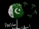 14 August Pakistani Flag Images