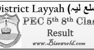 District Layyah PEC 5th 8th Class Result 2023