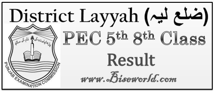 PEC 5th 8th Class Reuslt 2017 Layyah