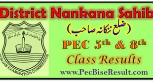 PEC Nankana Sahib 5th & 8th Class Result 2023