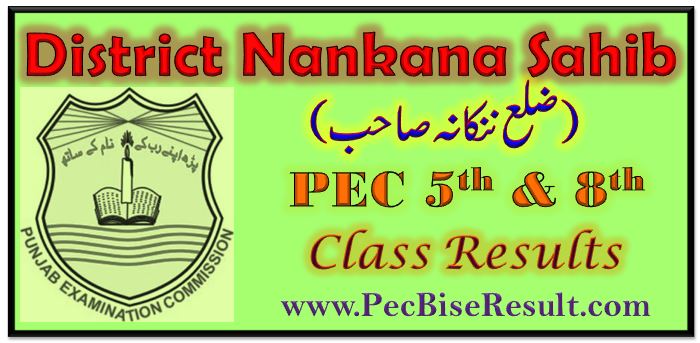 PEC 5th 8th Class Result 2017 Nankana Sahib