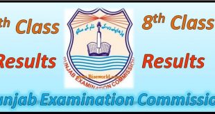 PEC Grade 5th 8th Class Result 2023 All Punjab Districts