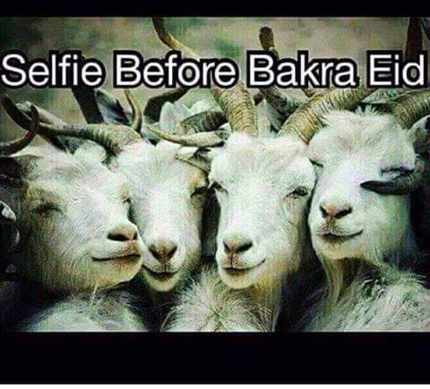Bakra Eid Selfie Images Photos