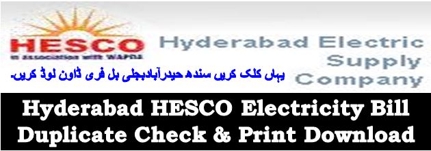 WAPDA HESCO Hyderabad Electricity Bill Download Duplicate Print Online