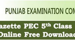Punjab Examination Commission 5th Class Result 2022