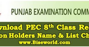 Check Here PEC 8th Class Result 2022 Position Holders List & Names