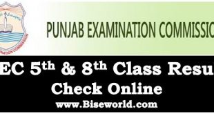 Punjab Examination Commission 5th 8th Class Result 2022