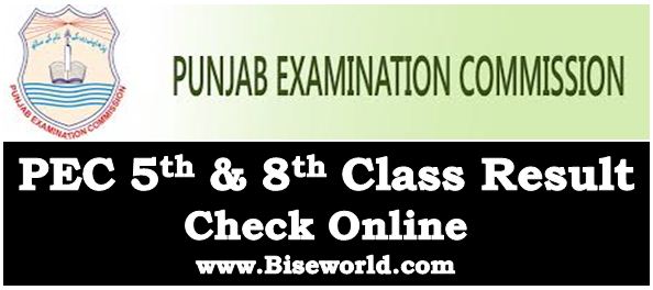 Punjab Examination Commission 5th 8th Class Result 2019