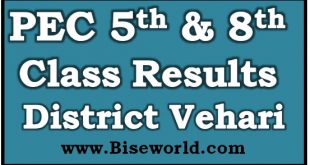 District Vehari 5th 8th Class Result 2022