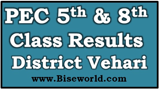 District Vehari PEC 5th 8th Class Result 2019