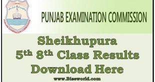 District Sheikhupura 5th 8th Class Result 2022