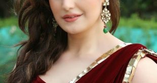 Zarine Khan Beautiful Sari Images