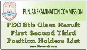 Position Holders List PEC 8th Class Result 2022
