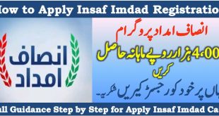 CM Announced Insaf Imdad Registration Online