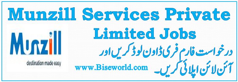Jobs in Munzill Services 2020 Private Limited