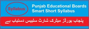 Punjab Boards Matric Short Syllabus SSC 2022