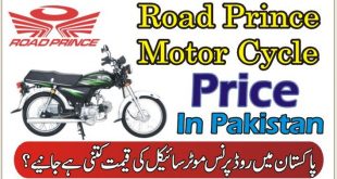 Road Prince 2023 New Model Motorcycle 70cc