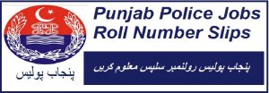 Punjab Police Jobs Roll No Slips