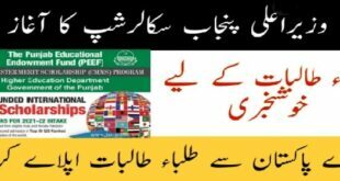 PEEF Scholarship 2023-24 Online Apply For All Students of Intermediate & Graduation