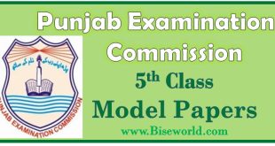 5th Class Model Paper 2023 PEC Download