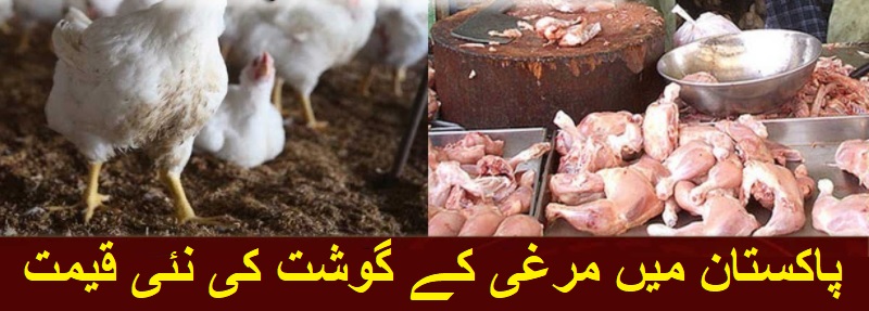 1 KG Chicken Price in Pakistan Today Rate List 2022