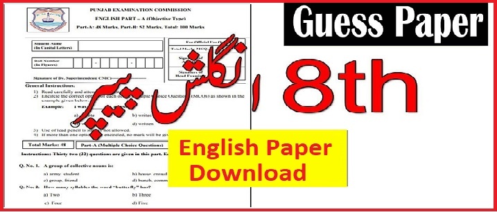 PEC 8th Class English Paper 2022