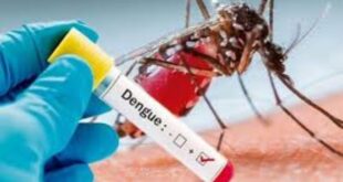 Dengue Treatment, Precaution, Types and Causes