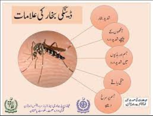 Dengue Treatment, Precaution, Types and Causes