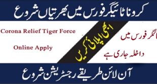 Online Apply Tiger Force Registration Form 2022