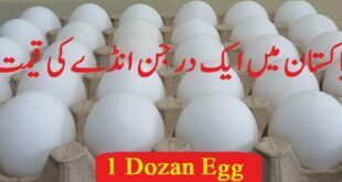 1 Dozen Eggs Price in Pakistan (Farmi Eggs Today List 2022)