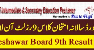 BISE Peshawar Board 9th Class Result 2023 Check by Roll Number