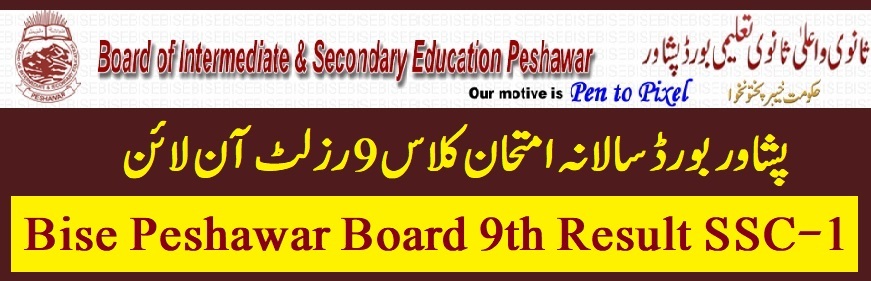 BISE Peshawar Board 9th Class Result 2022 Check by Roll Number