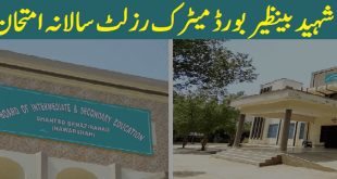 Shaheed Benazirabad Board 9th Class Result 2022 Annual Exam